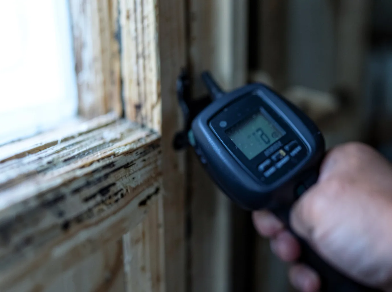 Moisture Inspection And Documentation in Larchwood, IA